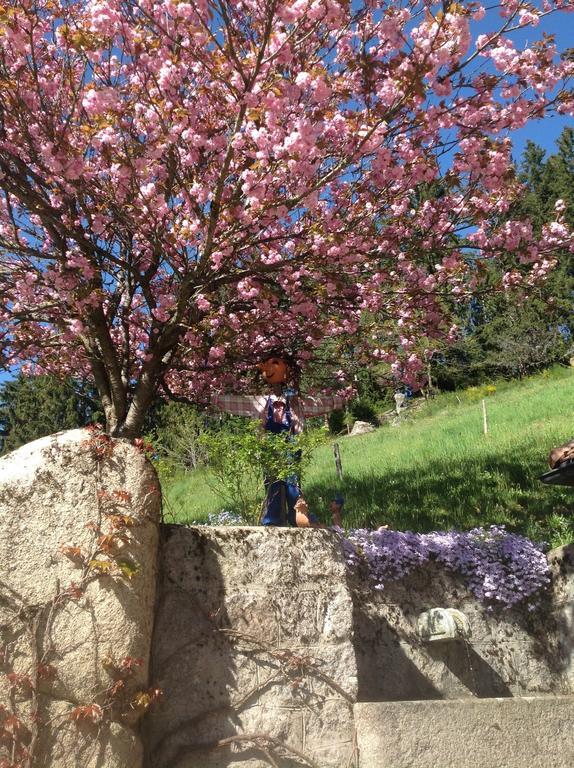 Holzbildhauerei Kammerer Triberg im Schwarzwald Εξωτερικό φωτογραφία