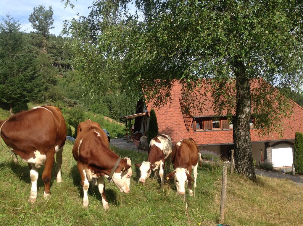 Holzbildhauerei Kammerer Triberg im Schwarzwald Εξωτερικό φωτογραφία